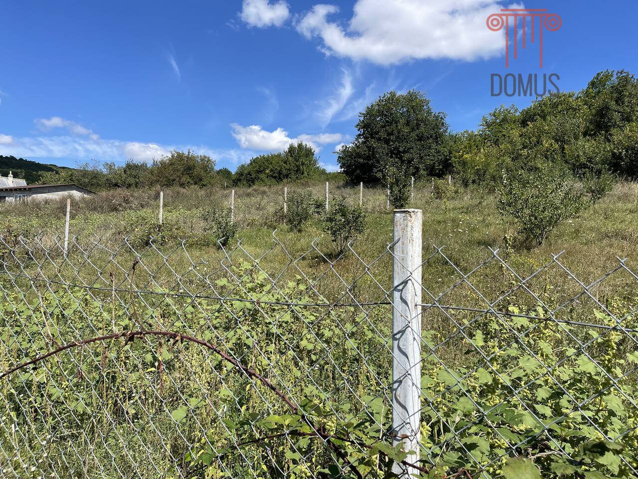 Участок на продажу в селе Передовое, Морская, 6 фото №6