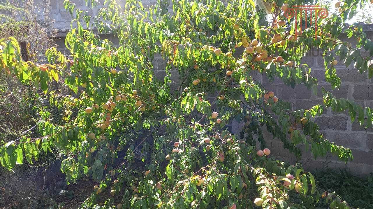 Дом на продажу в селе Орлиное, Молодёжная улица, 34 фото №13