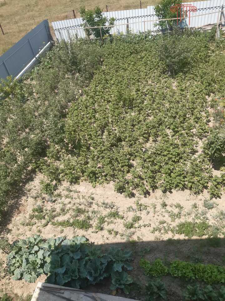 Дом на продажу в селе Орлиное, Вишнёвая улица, 36 фото №14